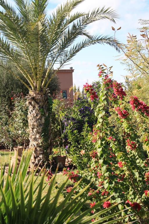 Terra Mia Marrakech Bed & Breakfast Ouled Jelal Ngoại thất bức ảnh