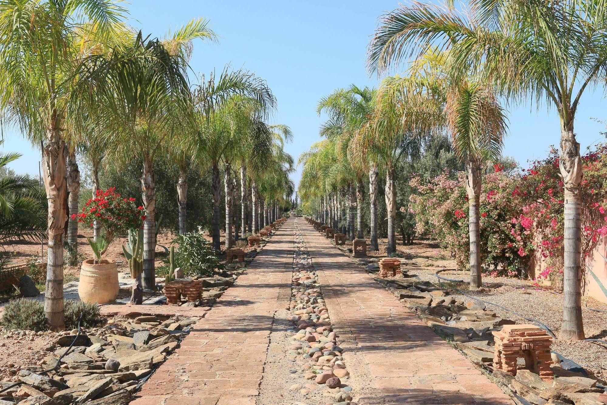 Terra Mia Marrakech Bed & Breakfast Ouled Jelal Ngoại thất bức ảnh