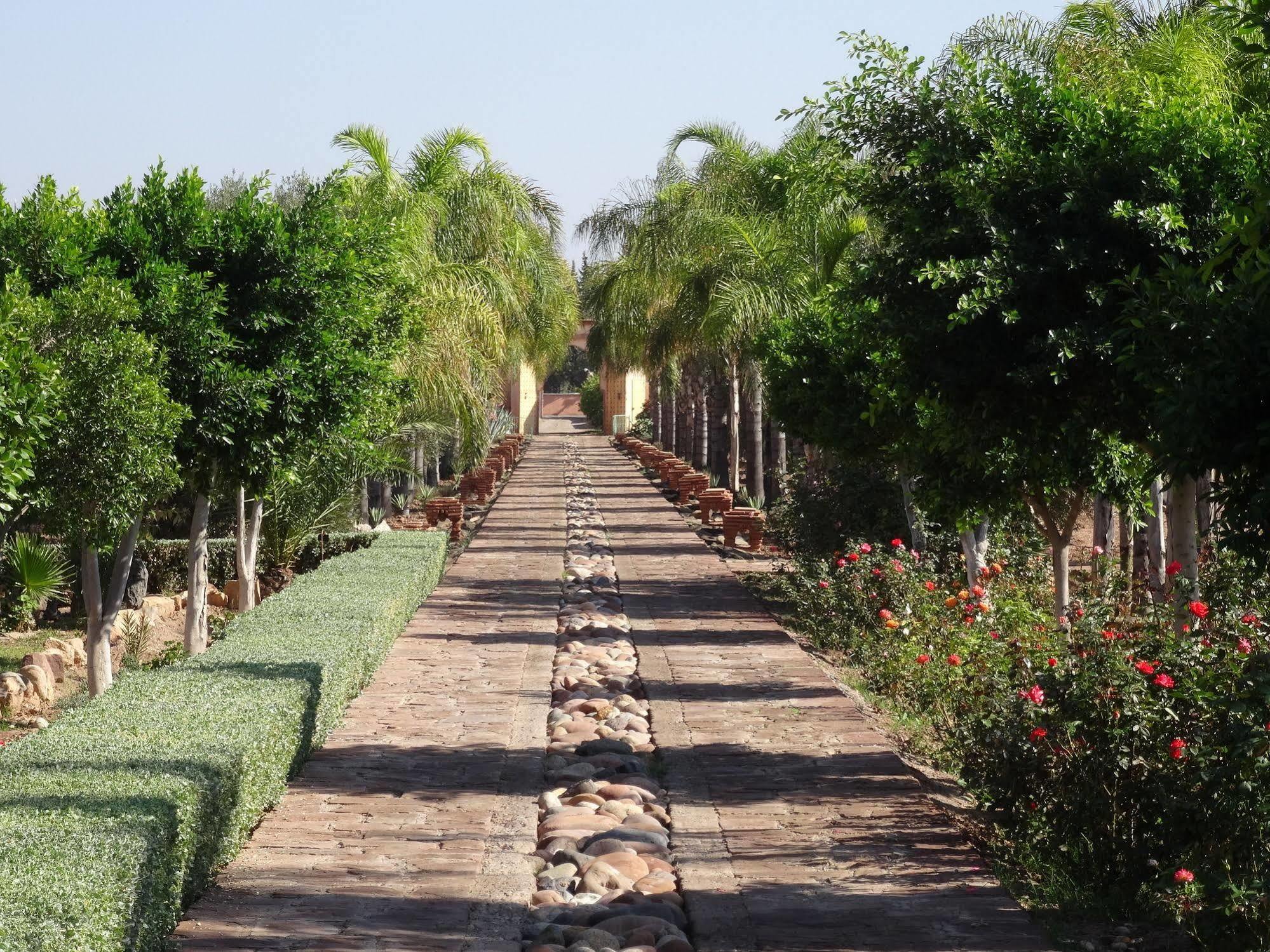 Terra Mia Marrakech Bed & Breakfast Ouled Jelal Ngoại thất bức ảnh